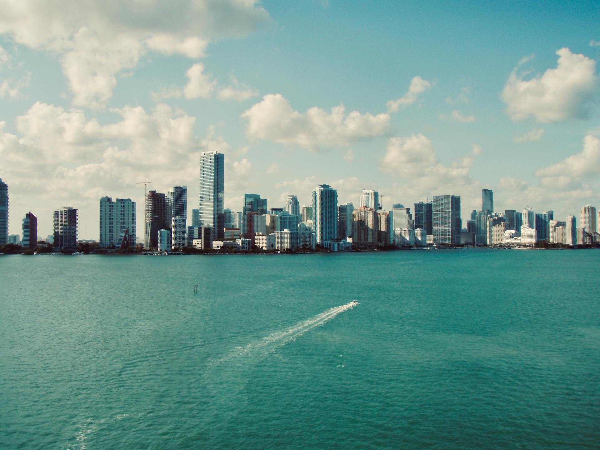MIami Shot Triple M MIami Shot Triple M